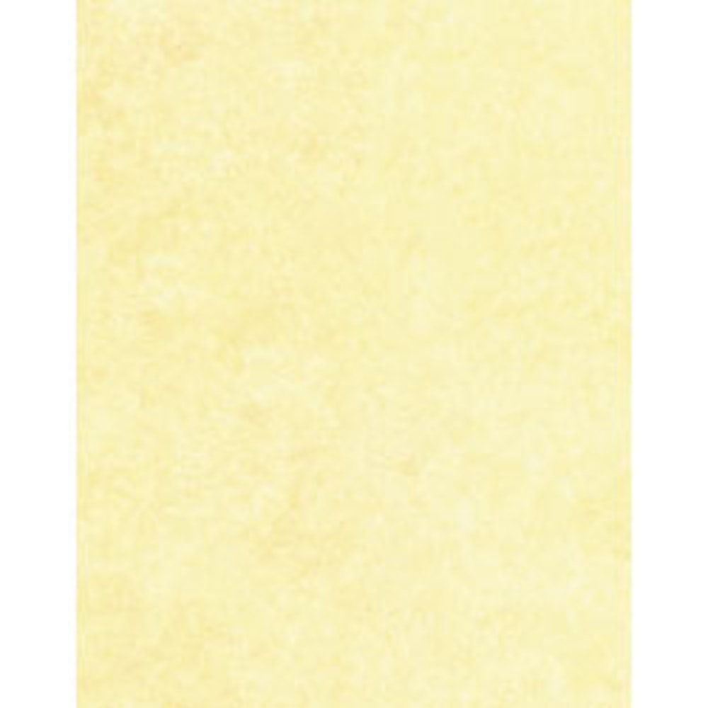 Gartner Studios Design Paper, 8 1/2in x 11in, 60 Lb, Ivory Parchment, Pack Of 100 Sheets (Min Order Qty 8) MPN:78488