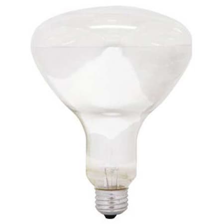 GE LIGHTING 250W, R40 Incandescent Heat Light Bulb MPN:250R40/1