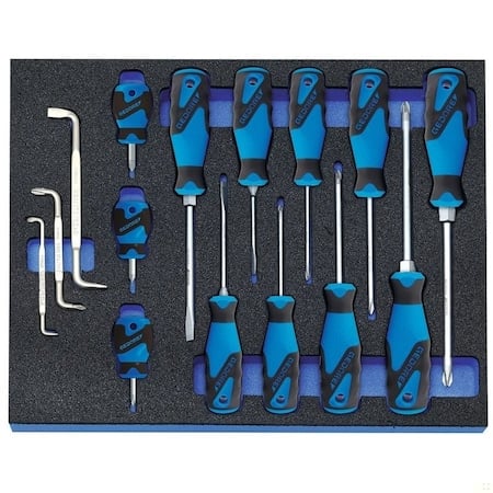 Screwdriver Set In Ct Module 15Pc MPN:2016311