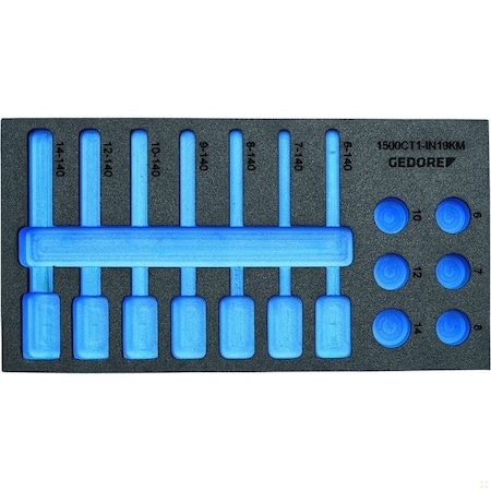 Check-Tool Module Empty, 2957647 MPN:EI-1500 CT1-IN 19 LKM