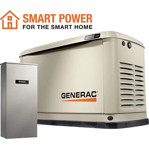 Example of GoVets Generac brand