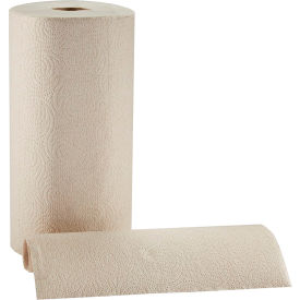 Pacific Blue Basic™ 2-Ply Recycled Perforated Paper Roll Towel By GP Pro Brown 12 Rolls/Case 28290