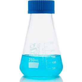 Flask Erlenmeyer Globe Glass Screw Cap Dual Graduations ASTM E1404 250mL 6/Box 8420250