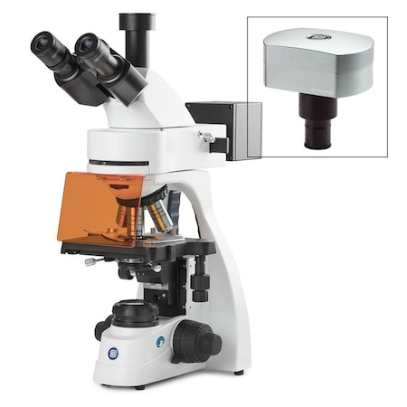 bScope trinocular microscope for LED MPN:EBS-3153-PLFI-DC18