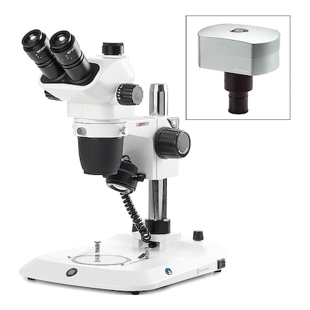 Example of GoVets Globe Scientific category