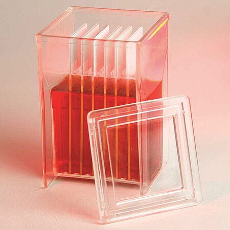 Staining Jar, 57 mm H, 57 mm W, PK4 MPN:513209
