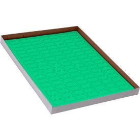 Globe Scientific™ Cryo 24 x 13mm For 0.5mL Tubes Green 20 Sheets 119 Label/Sheets LCS-24X13G