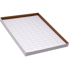 Globe Scientific™ Cryo 24 x 13mm For 0.5mL Tubes White 20 Sheets 119 Label/Sheets LCS-24X13W