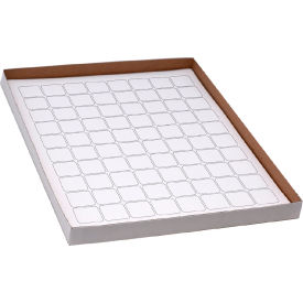 Globe Scientific™ Cryo 25 x 25mm For Microscope Slides White 20 Sheets 80 Label/Sheets LCS-25X25W