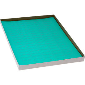 Globe Scientific™ Cryo 33 x 13mm For 1.5-2mL Tubes Green 20 Sheets 85 Label/Sheets LCS-33X13G