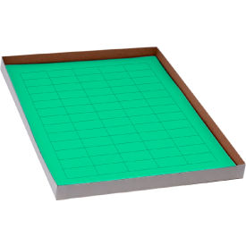 Globe Scientific™ Cryo 38 x 19mm For General Use Green 20 Sheets 60 Label/Sheets LCS-38X19G