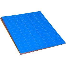 Globe Scientific™ Cryo 38 x 19mm For General Use Multi-Color 1500 Labels LCS-38X19RW