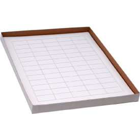 Globe Scientific™ Cryo 38 x 19mm For General Use White 20 Sheets 60 Label/Sheets LCS-38X19W