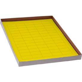 Globe Scientific™ Cryo 38 x 19mm For General Use Yellow 20 Sheets 60 Label/Sheets LCS-38X19Y