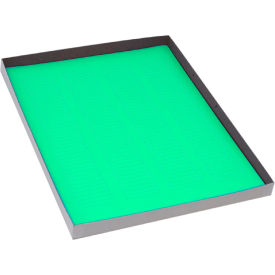 Globe Scientific™ Cryo 38 x 6mm For Microplates Green 20 Sheets 156 Label/Sheets LCS-38X6G