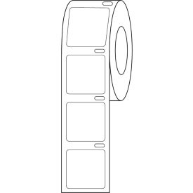 Globe Scientific™ Cryo Direct Thermal Label 22x22mm For Microscope Slides White 1000/Roll LTC-22X22W