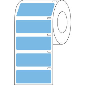 Globe Scientific™ Cryo Direct Thermal Label 51x19mm For Large Tubes Blue 500/Roll LTC-51X19B