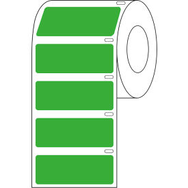 Globe Scientific™ Cryo Direct Thermal Label 51x19mm For Large Tubes Green 500/Roll LTC-51X19G