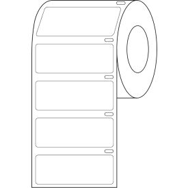 Globe Scientific™ Cryo Direct Thermal Label 51x19mm For Large Tubes White 500/Roll LTC-51X19W