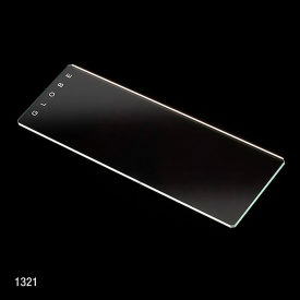 Globe Scientific™ Microscope Slides w/ Ground Edges & Safety Corners Plain 1321