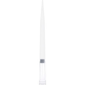Globe Scientific Filter Pipette Tip1-1000uL Universal Low Retention Graduated 105mm 1920/Case 150938