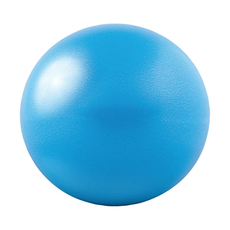 GoFit Core Ab Ball MPN:GF-20BALL