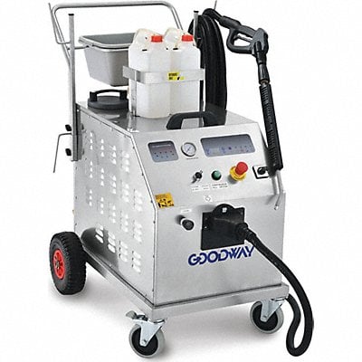 Example of GoVets Steam Cleaners category