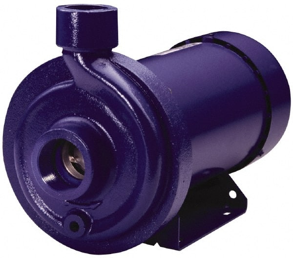 AC Straight Pump: 115/230V, 15.2/7.6A, 1 hp, 1 Phase, Cast Iron Housing, 316L Stainless Steel Impeller MPN:100MC1E4C0