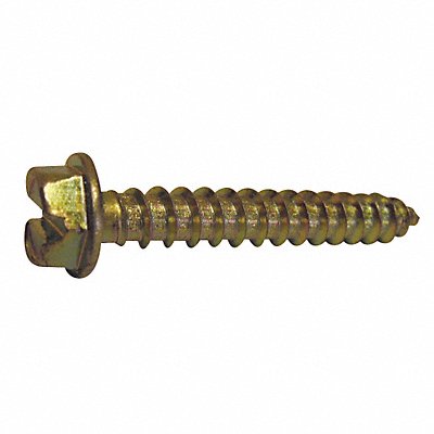Example of GoVets Anchor Screws category