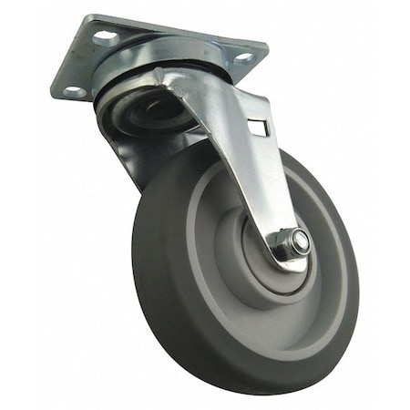 Plate Caster, Light-Duty, 5
