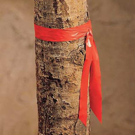 Flagging Tape, No Legend, Red, 1 in Wide x 300 ft Length, Vinyl, 2.5 mil MPN:TF1R-200