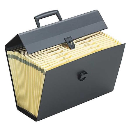 Expandable File Organizer 19 Pocket, 15