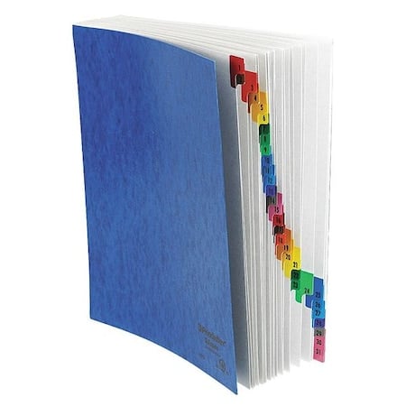 Expandable File (1-31) 8-1/2 x 11