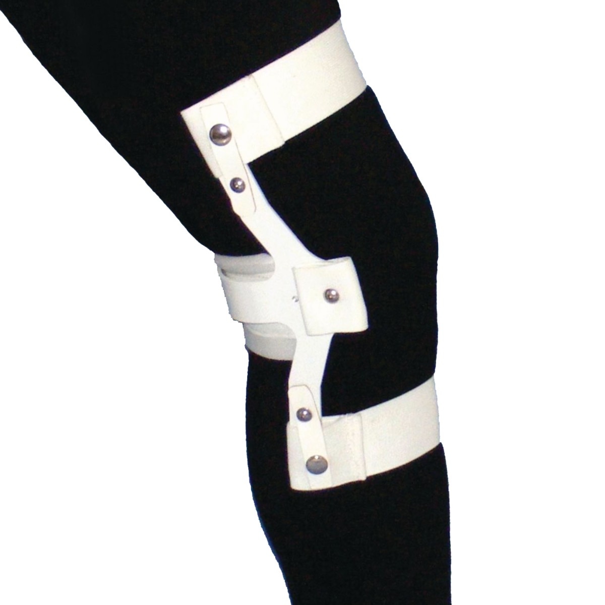 Example of GoVets Govets Select category