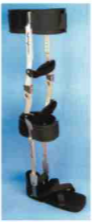 Example of GoVets Govets Select category