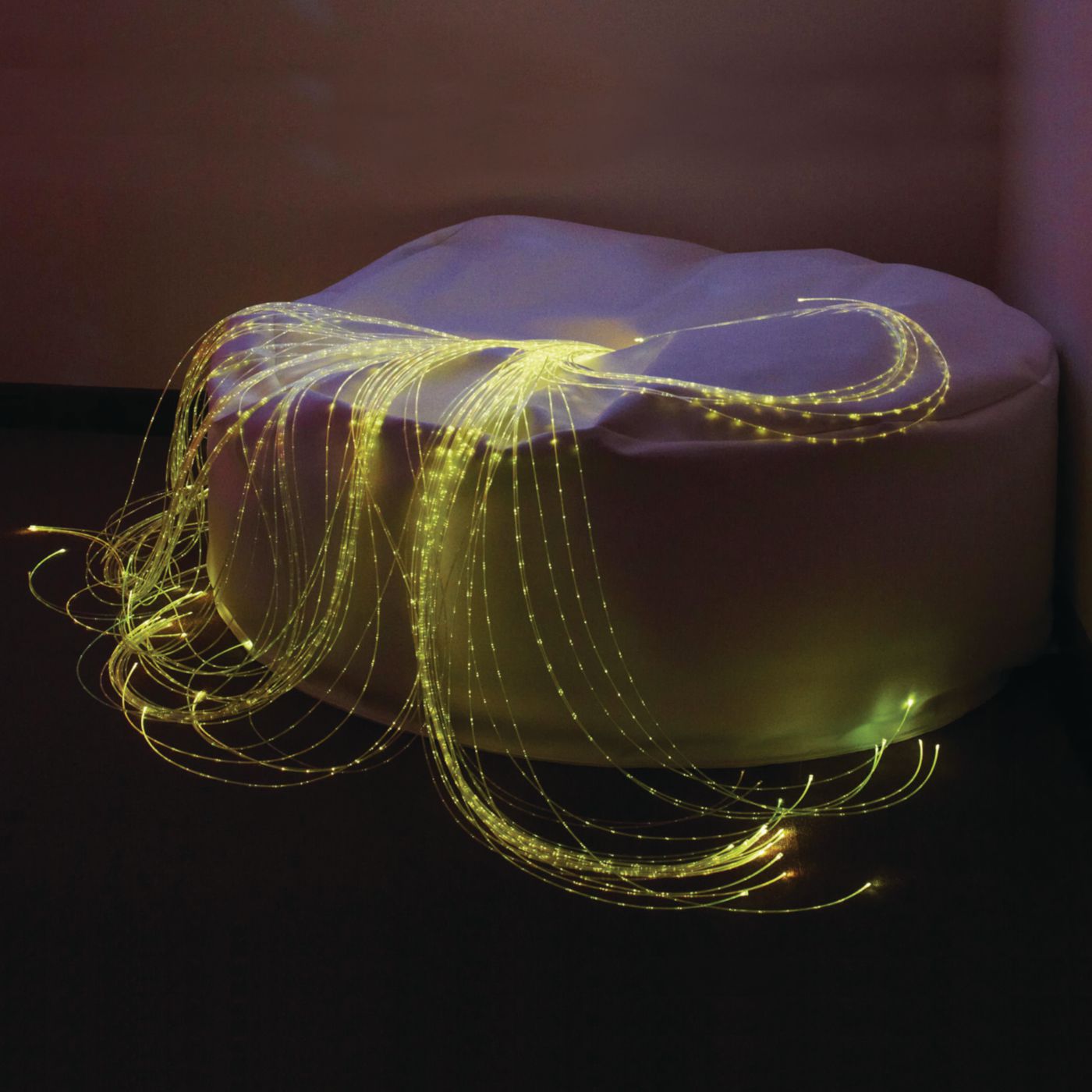 Example of GoVets Multi Sensory category