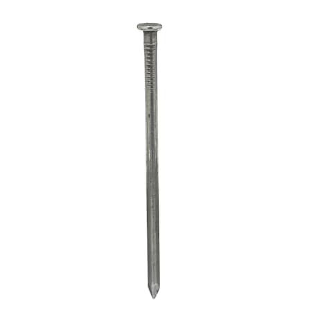 Common Nail, 3-1/2 in L, 16D, Steel, Bright Finish, 8 ga, 1320 PK MPN:4NEP9