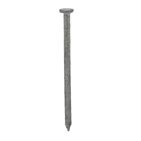 Common Nail, 2-1/2 in L, 8D, Steel, Galvanized Finish, 10.25 ga, 2730 PK MPN:4NET5
