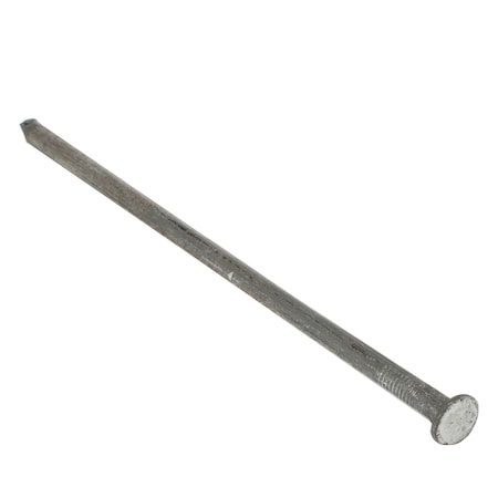 Example of GoVets Nails category