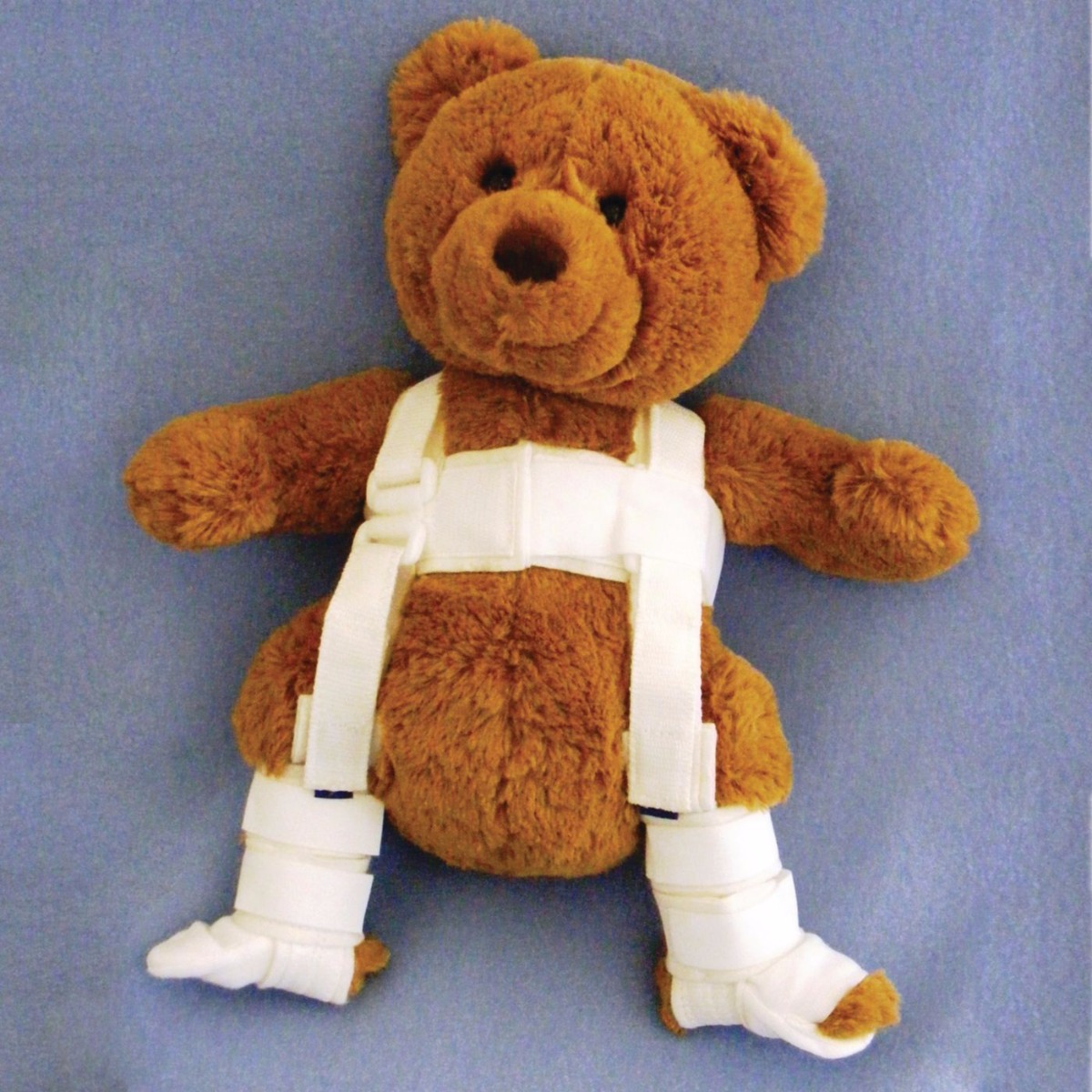 Example of GoVets Posture Support category