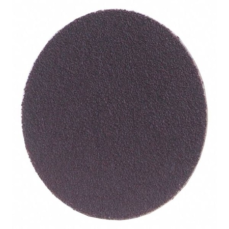 PSA Sanding Disc, Coated, 1