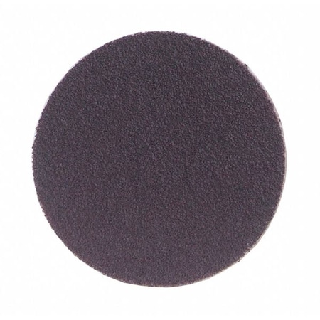 PSA Sanding Disc, Coatd, 12