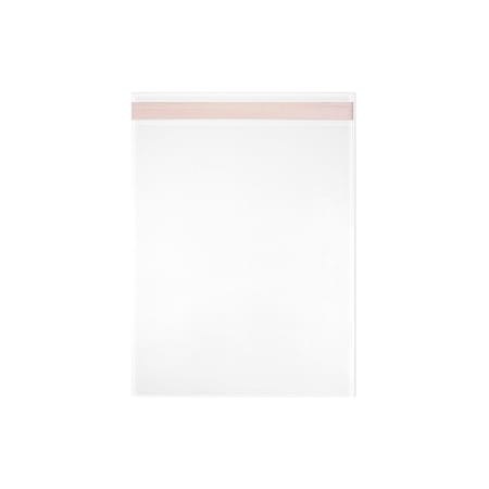 Reclosable Bag, Fold Seal, 5 1/4 in L, 3 11/12 in W, 1.6 mil Thick, Biaxial Oriented Polypropylene MPN:L6B3.875x5.25