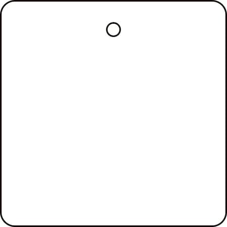 Tag, Blank, Plastic, 2 in H x 2 in W, White, Square, 10 PK MPN:22CM93