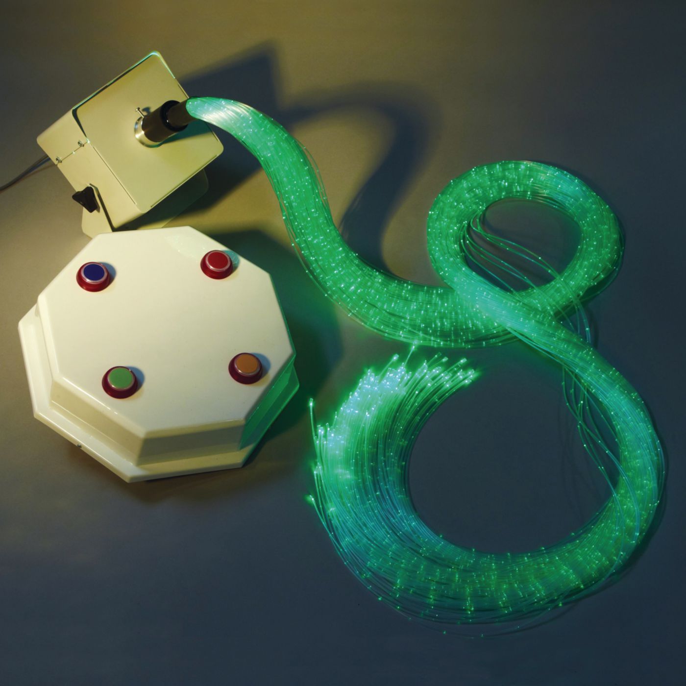 Example of GoVets Visual Stimulation category