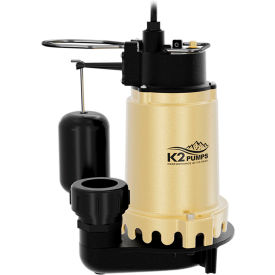 K2® 1/3 HP Vertical Sump with Snap Action Switch Quick Connect SPI03302K