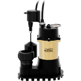 K2® 1/3 HP Vertical Sump with Quick Connect SPI03303VPK