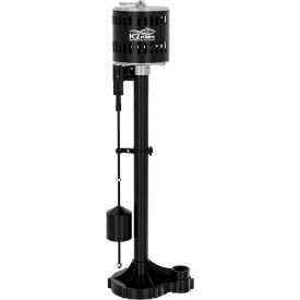 K2® 1/3 HP Thermoplastic Pedestal Pump SPP03301K
