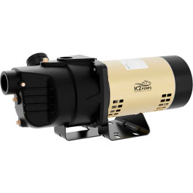 K2® 1/2 HP Cast Iron Shallow Well Jet Pump 8.1 GPM WPS05001K