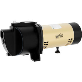 K2® 1/2 HP Cast Iron Shallow Well Jet Pump 14.5 GPM WPS05004K